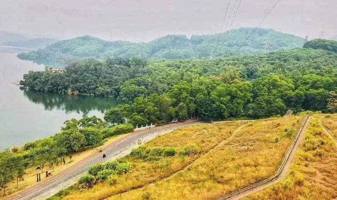 深圳十大免费旅游公园,国庆节深圳游玩