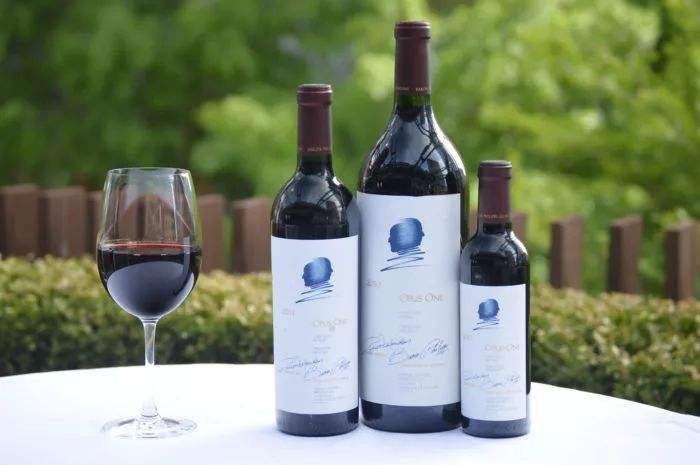 法国红酒了解,法国红酒的特别之处