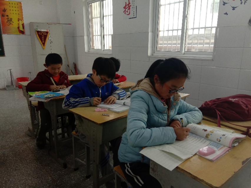 不上辅导班怎么提高成绩,辅导班真的可以提高成绩吗