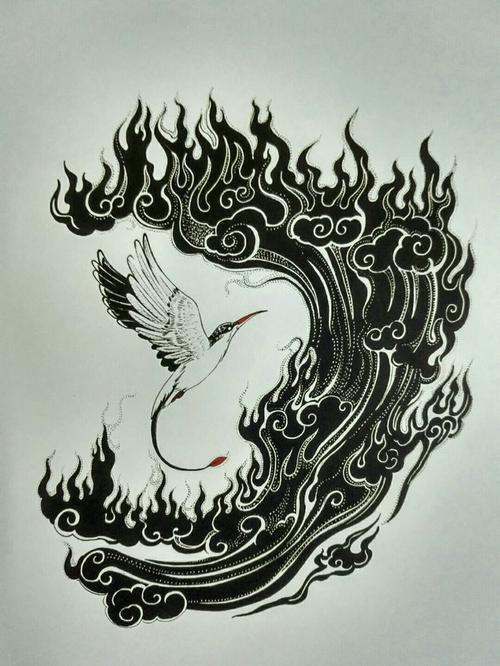 三种鸟不同种类及形态,三种鸟