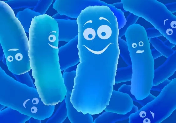 益生菌功效海报,益生菌的卖点是什么