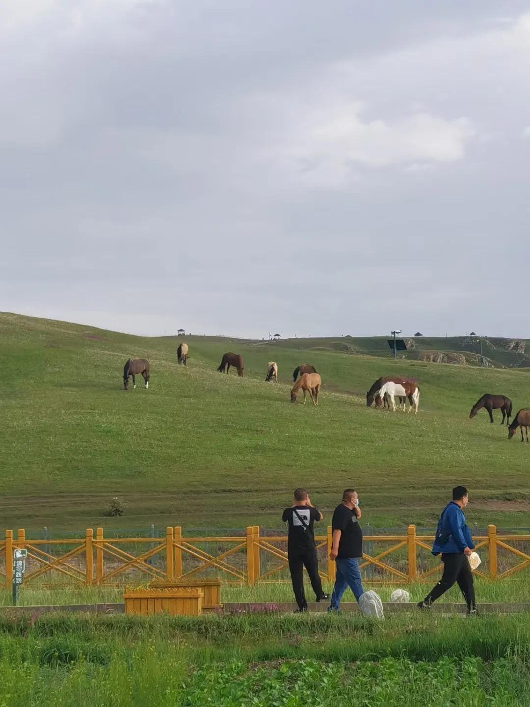 新疆南疆日记,新疆南疆旅游日记