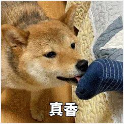 浦发白金简约版永久免年费,浦发梦卡经典白金卡年费360一年吗