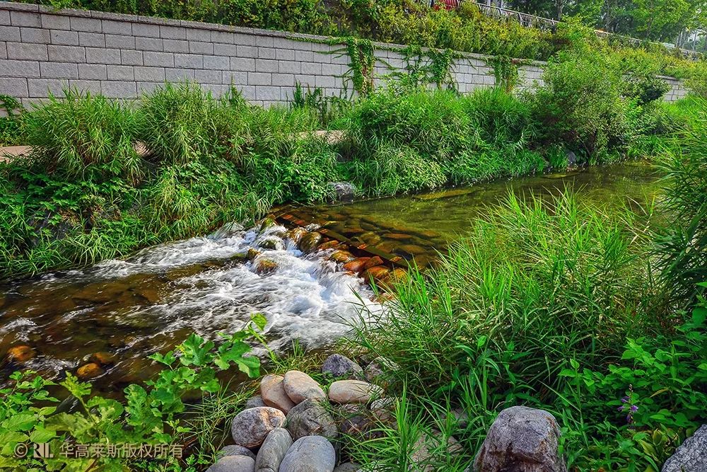 〖丈量城市〗大拆小建的「生态经济学」：清溪川