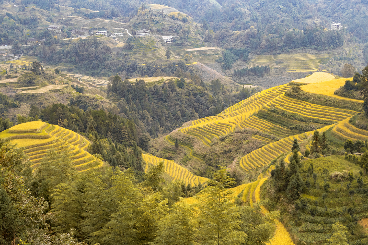 世界奇观龙脊梯田视频,世界梯田之冠桂林龙脊梯田