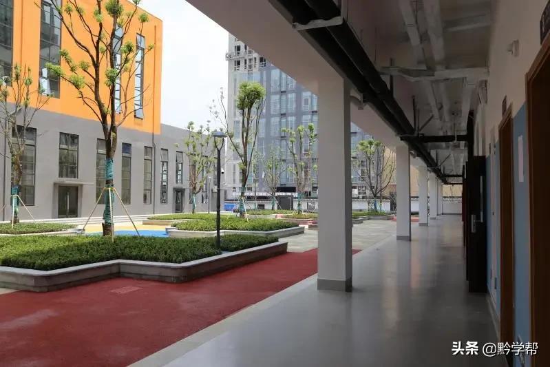 贵阳一小学分校,贵阳小学排名含分校