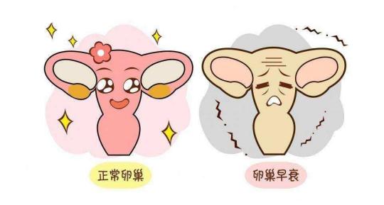 8个好习惯让你远离卵巢疾病，永葆女性健康年轻