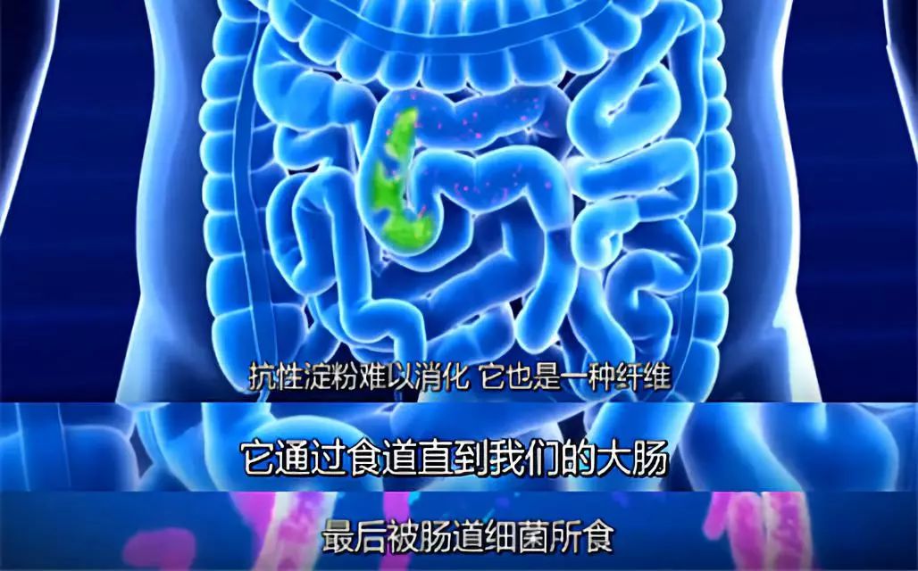 优质碳水为啥可以减肥,优质碳水为什么可以减肥