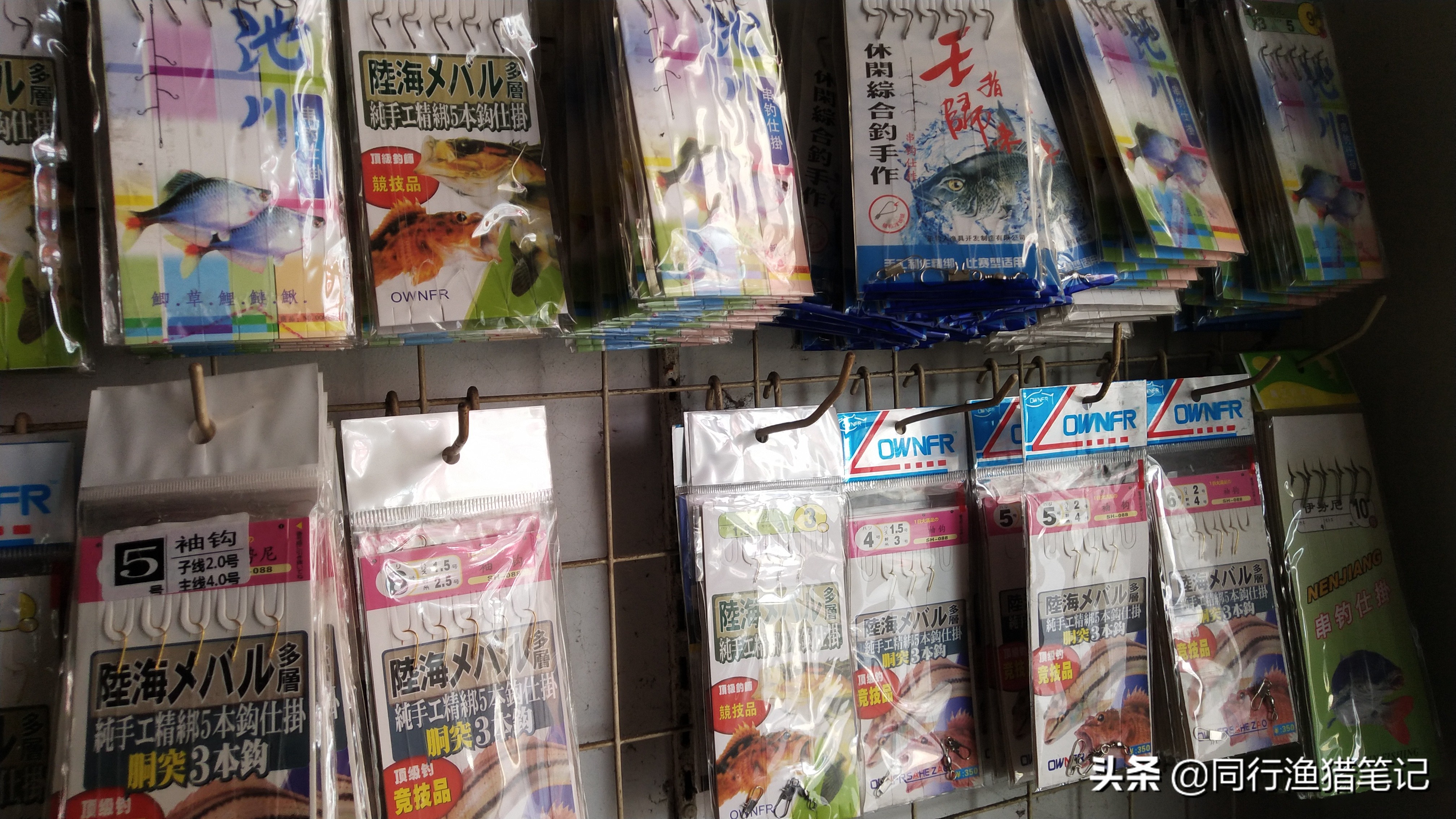 手竿钓乌头鱼的串钩最佳钓法,手竿串钩带漂钓鲫鱼的方法