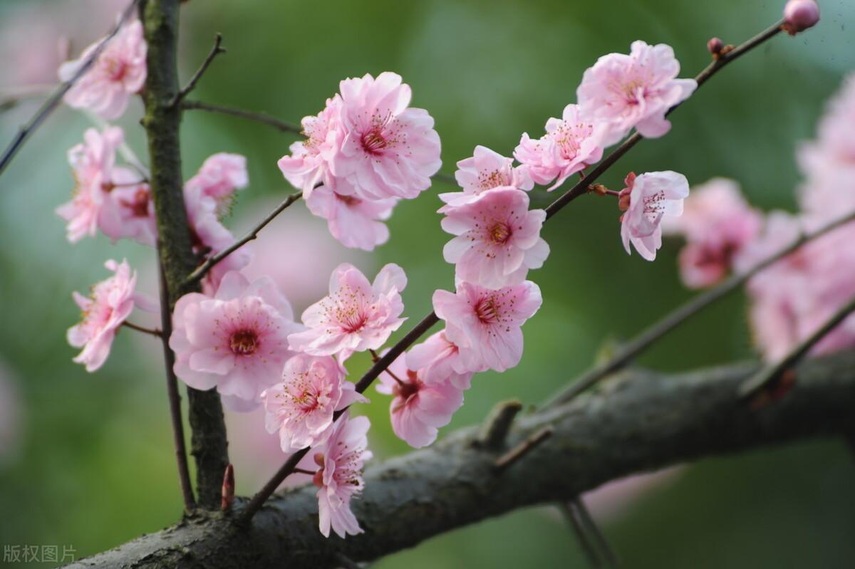 两性相处的深层沟通,两性深入沟通的技巧