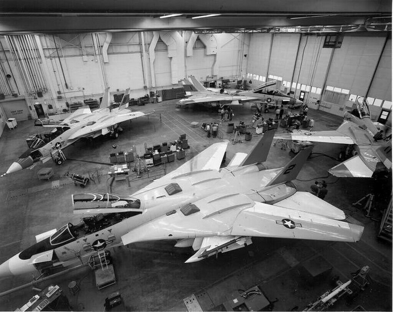 猫迷必备技能,F-14各型号的辨别