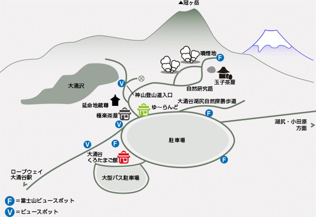 日本黑翡翠,日本特产黑珍珠
