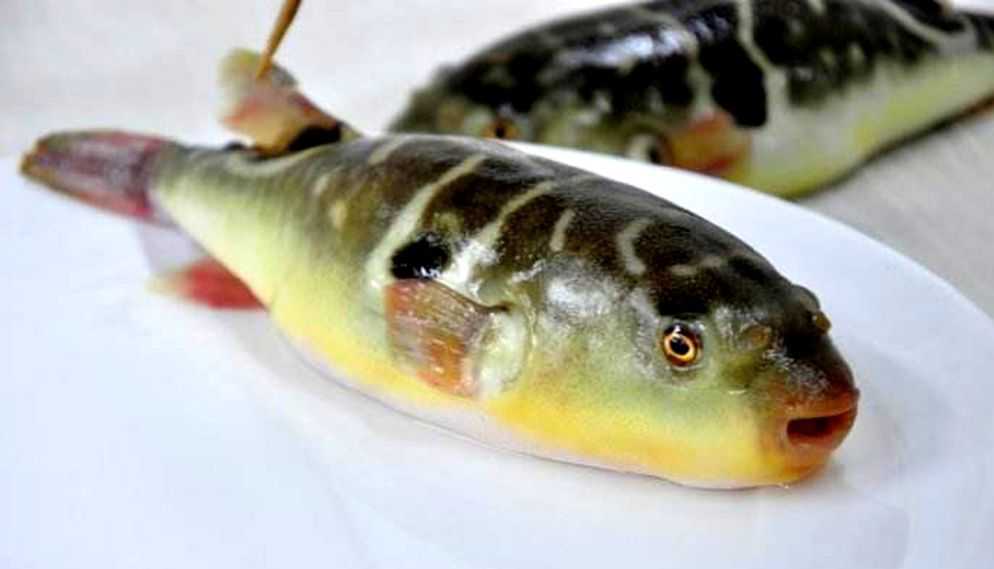 舌尖上的回忆镇江,舌尖上的儿时记忆完整版