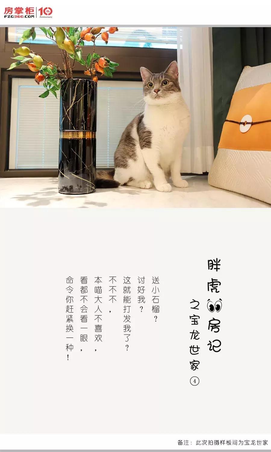 「胖虎大人看房记」第②期——宝龙世家