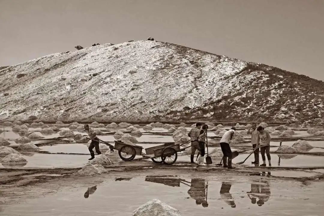 你们听说过死海吗,你听说过海洋中的强大生物吗