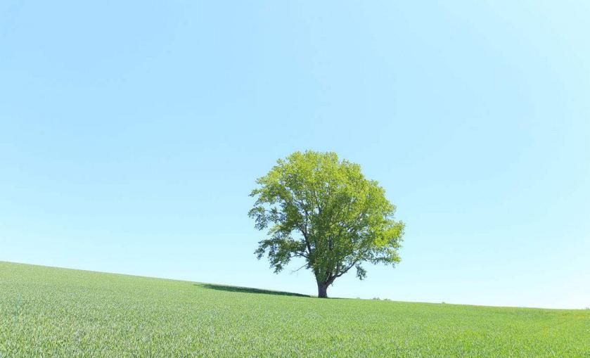 湿气重吃归脾还是健脾,中医关于食疗祛湿气的论述