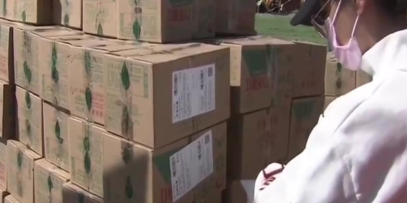 内蒙马铃薯丰收,内蒙古马铃薯丰收