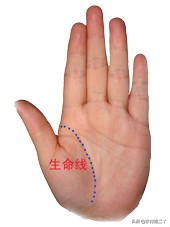 看手相学习好看哪根线,教你看手相百分之百准确