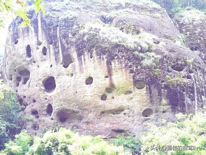 泉州到武夷山两日游攻略价格,武夷山报团两日游费用多少钱