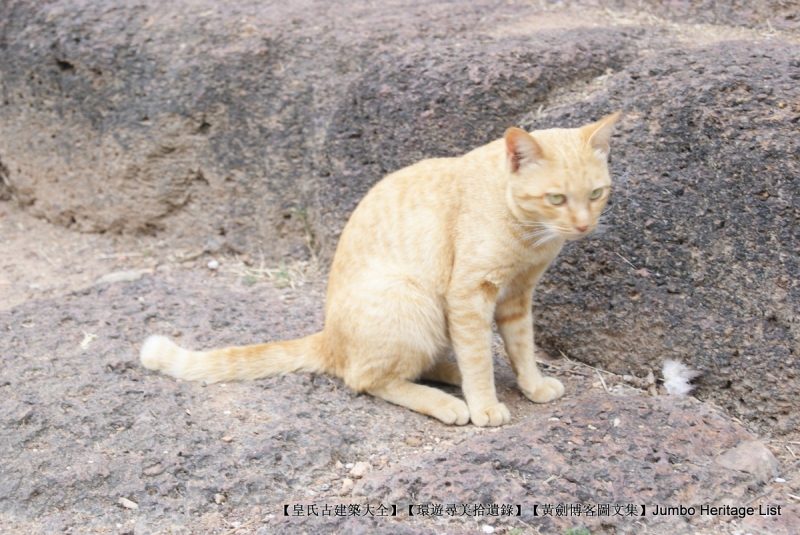 第1398回：澜沧王国鼎盛时期，遭遇神秘东方国度