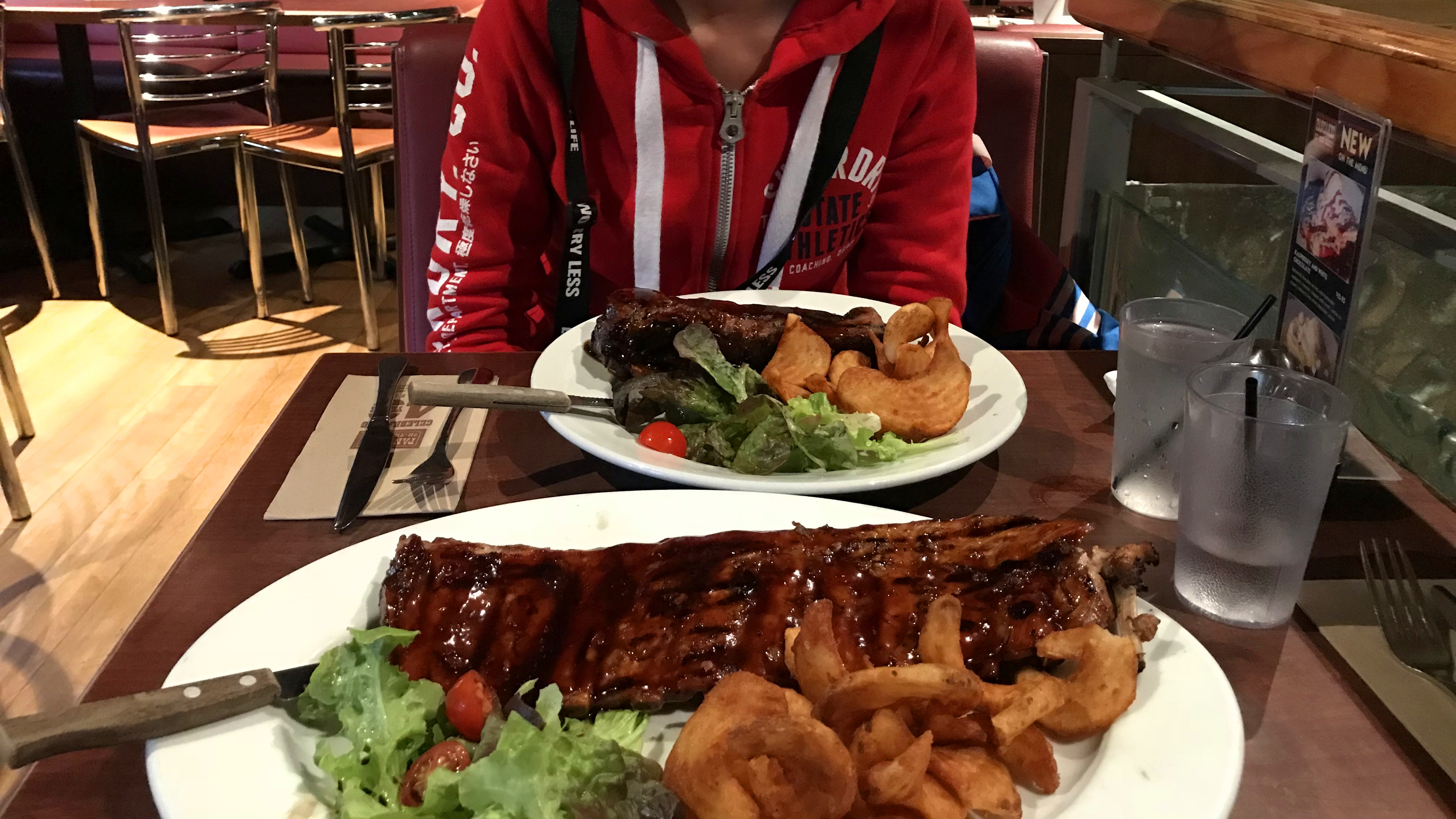 澳大利亚旅游攻略书,悉尼蓝山国家公园游记