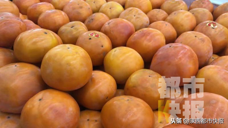 女子吃一斤多柿子胃里长出大结石,减肥吃水果蔬菜吃出结石