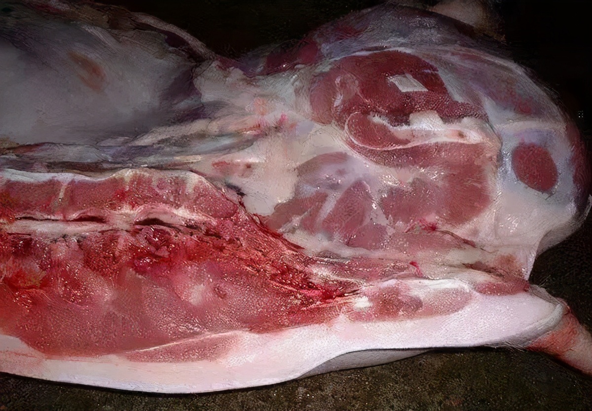 如何让顾客放心食用,如何做到让顾客放心购买猪肉