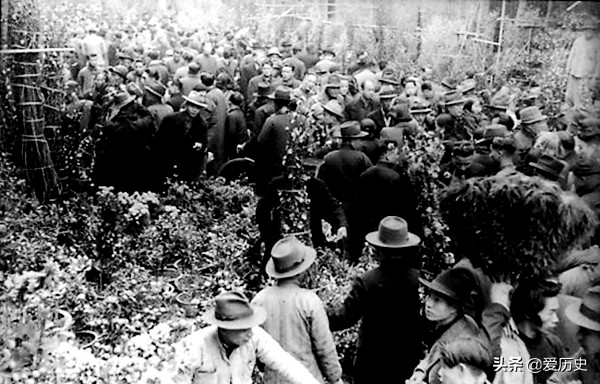 民国版的牛郎织女,民国牛郎织女