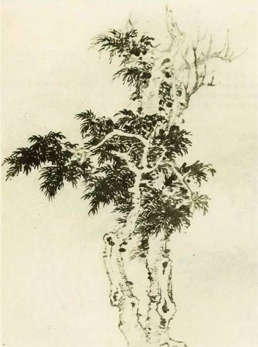 画树教程,怎么画树好看又超级简单