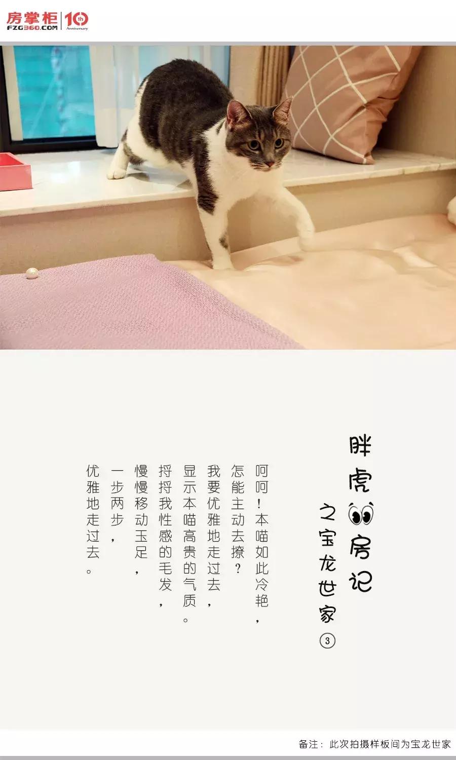 「胖虎大人看房记」第②期——宝龙世家