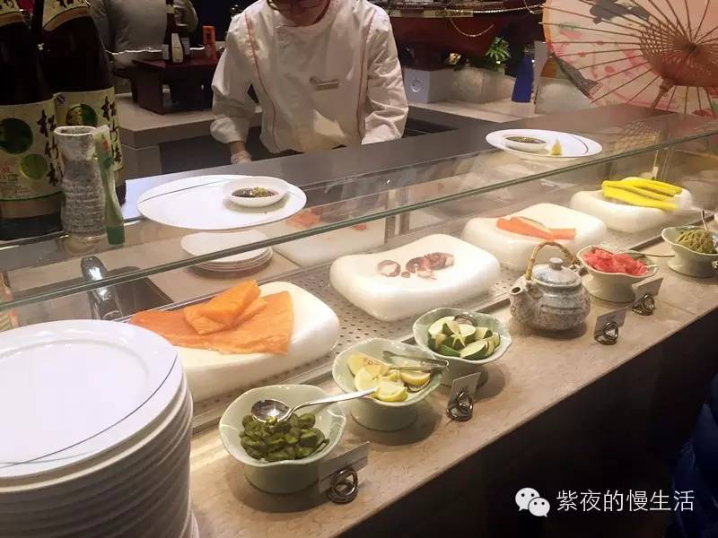 苏州带宠物去的古镇,苏州小众宠物乐园推荐