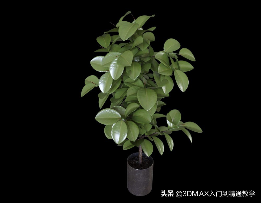 耗时247天拍摄56个民族服饰,3分钟带您了解效果图制作过程