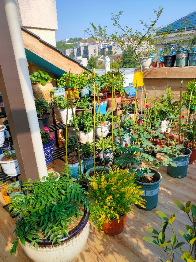 不用木头自制花架最简单的方法,请教DIY高手如何自制花架