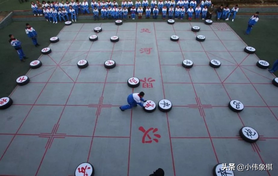 象棋里的象指的是什么,中国象棋中的象是什么