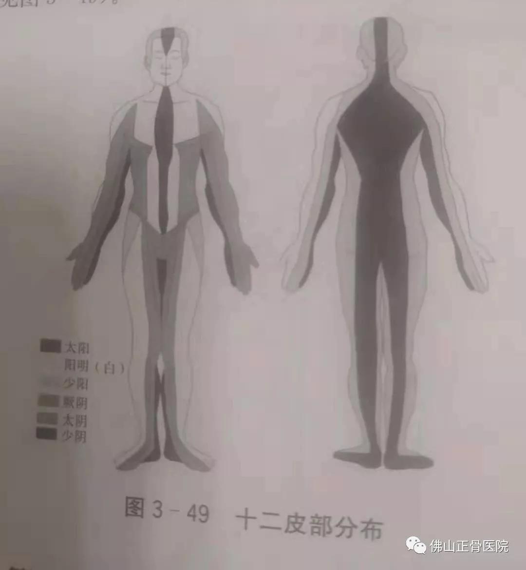 经筋手法，我院名誉院长国医大师韦贵康《韦氏骨伤手法集成》