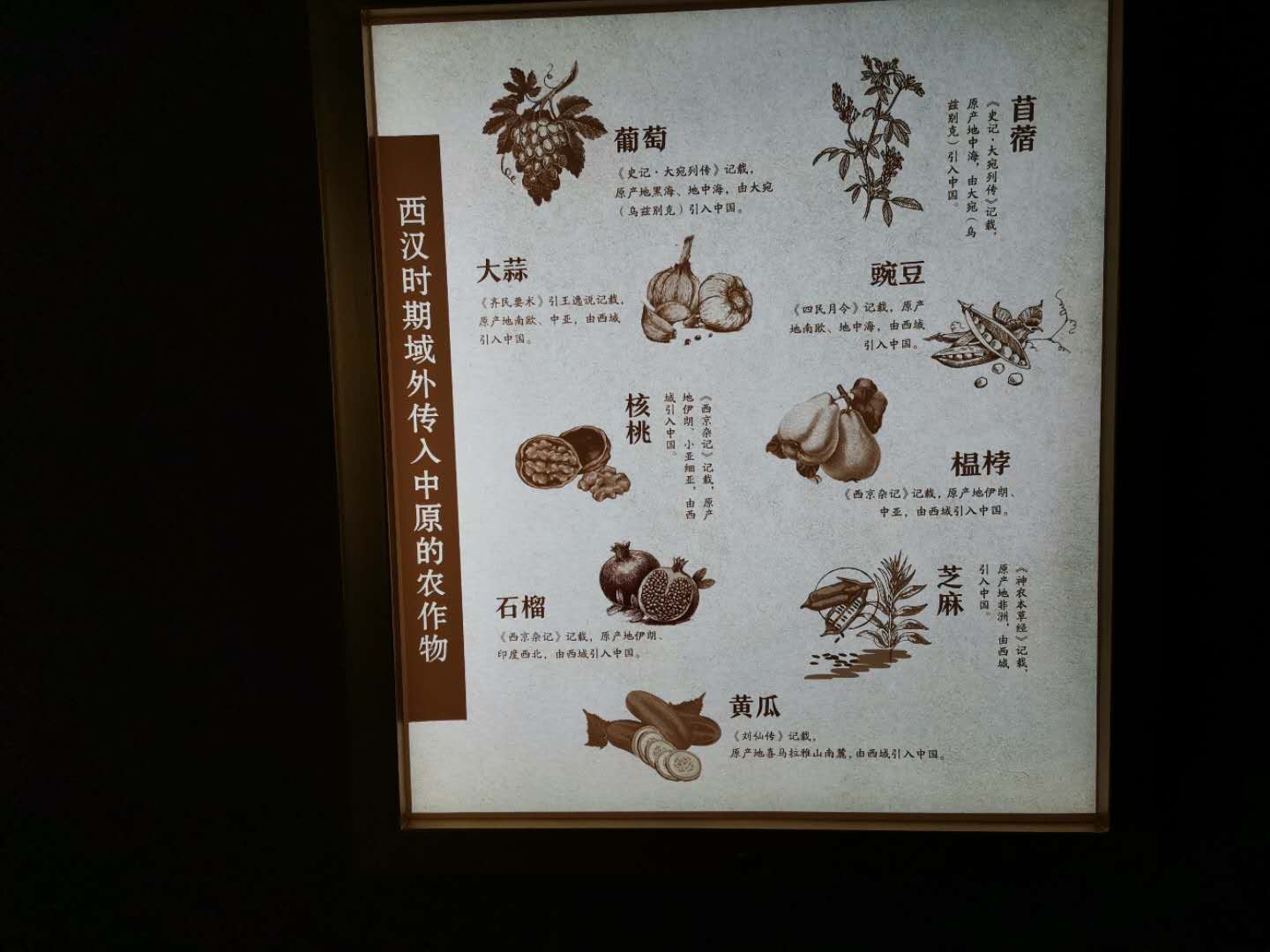 呼和浩特昭君博物院:中外驰名西汉古墓――昭君墓