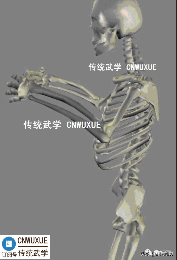 站桩时手可以上下活动吗,站桩时身体会随着呼吸上下起伏