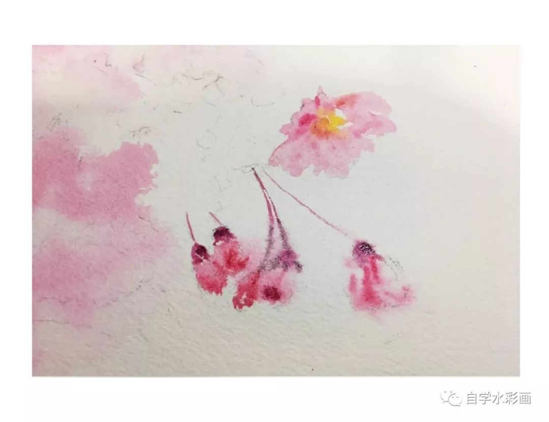 小清新水彩画樱花,梦幻又浪漫的水彩樱花画