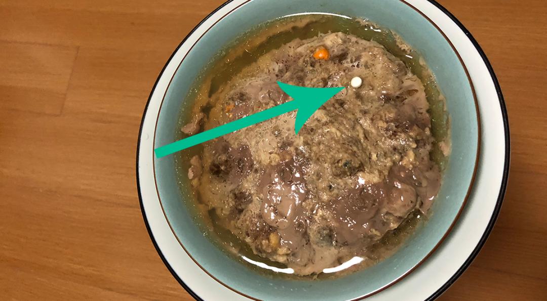 美短掉毛比一般的猫严重怎么办,英短猫掉毛严重怎么解决