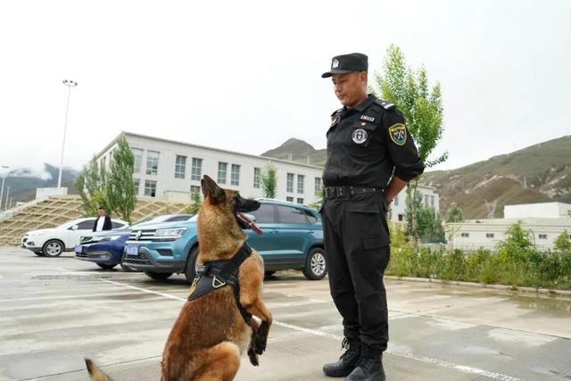 狼的配偶,狼的配偶只有一个