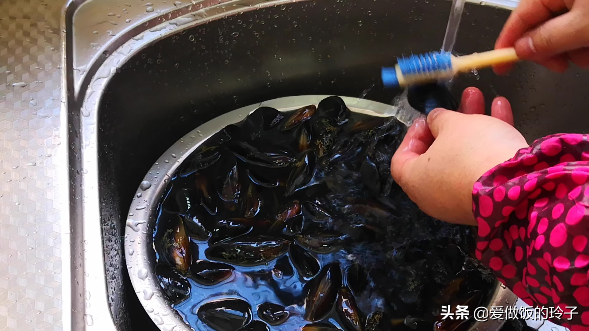 海虹不用放水煮,海虹的做法用水煮海虹好吃吗