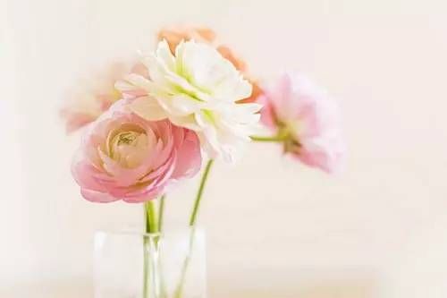 【考研英语】攻克考研英语长难句日常积累20190318