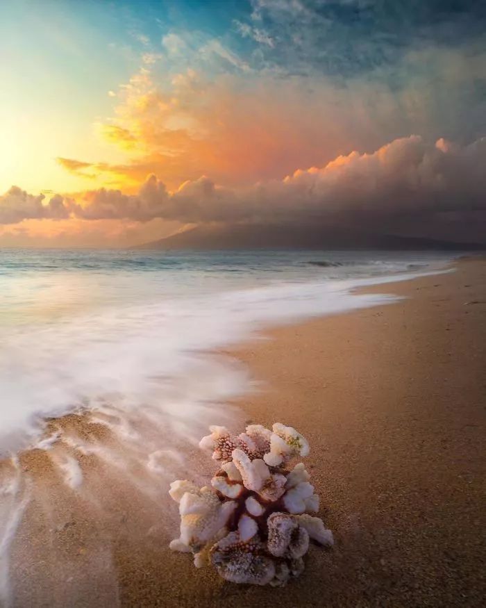 国家地理摄影大赛作品,2018年国家地理优秀作品欣赏