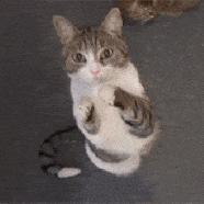 「颜纠所」价值5W的面霜终章，不看就亏大了