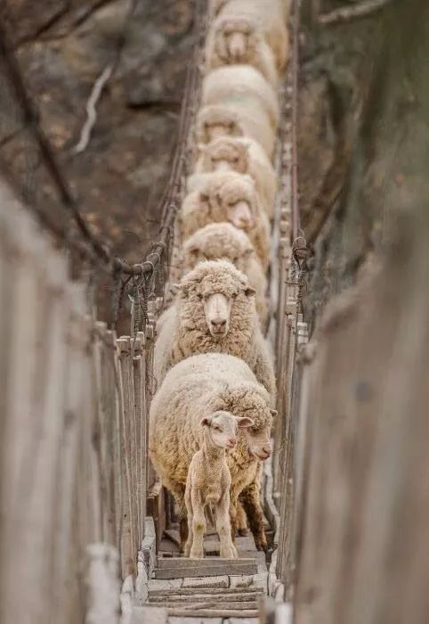 发现被别人偷拍照片,偷拍别人的照片是否违法