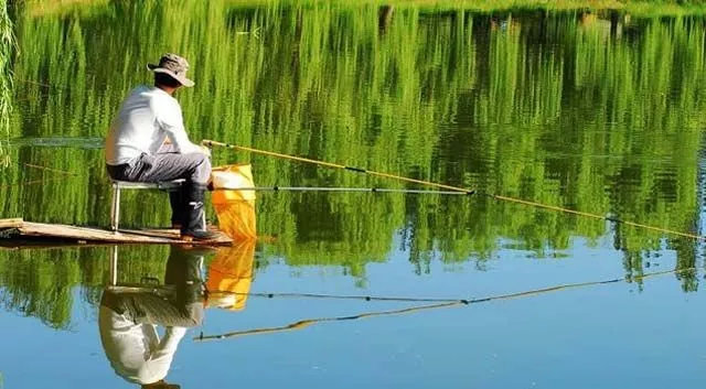 小满清热解暑食物,小满补脾祛湿消暑吃什么