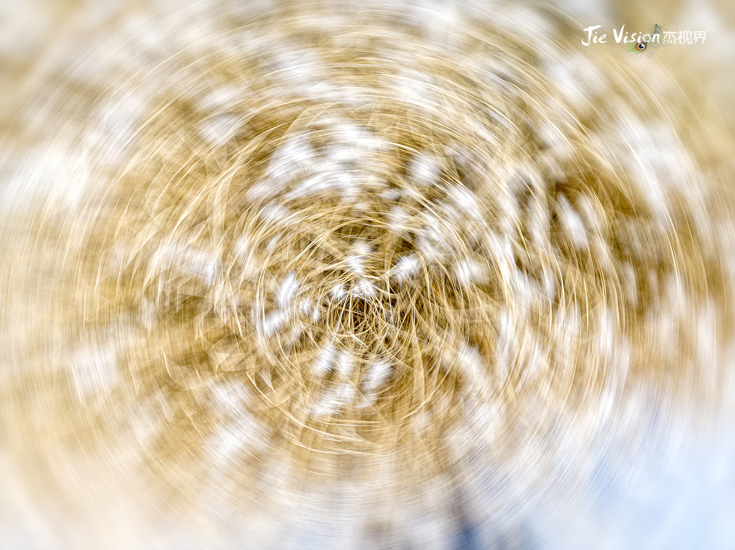 北京副中心国家级植物园,北京副中心园林公园