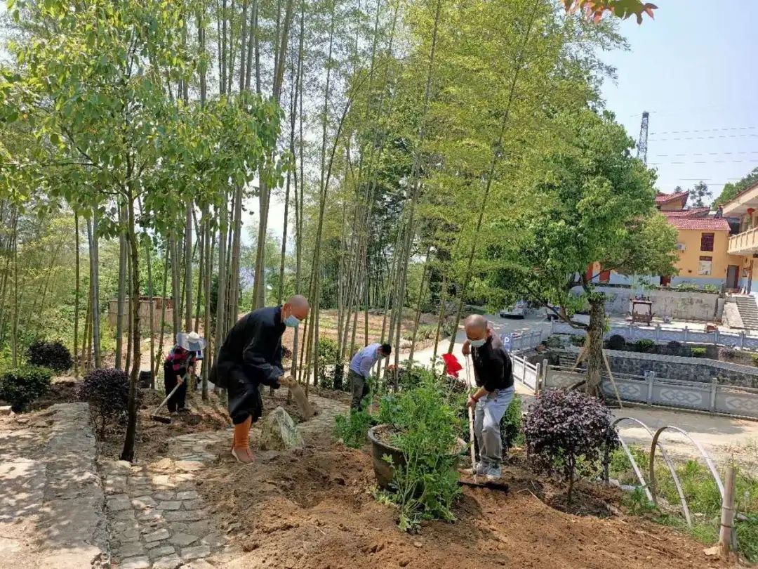 抢抓农时开展农业生产,农民纷纷抢抓春耕生产有利时机