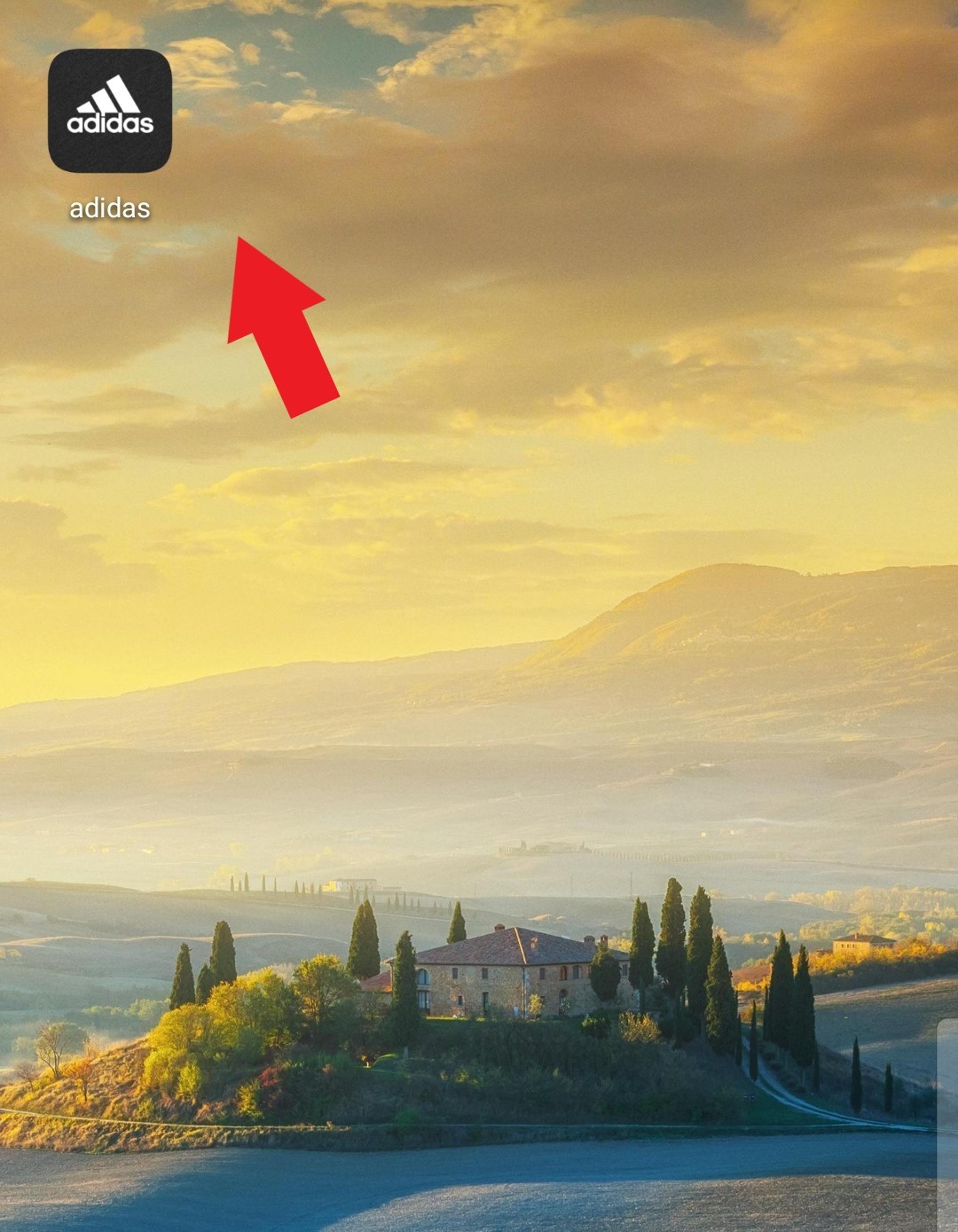 白斑马350boost,350白斑马欧洲补货