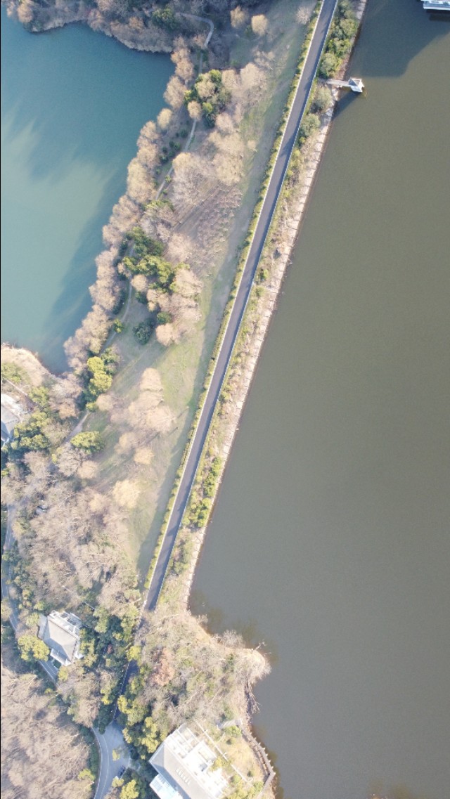 南京紫金山庄,南京紫金山庄钓鱼